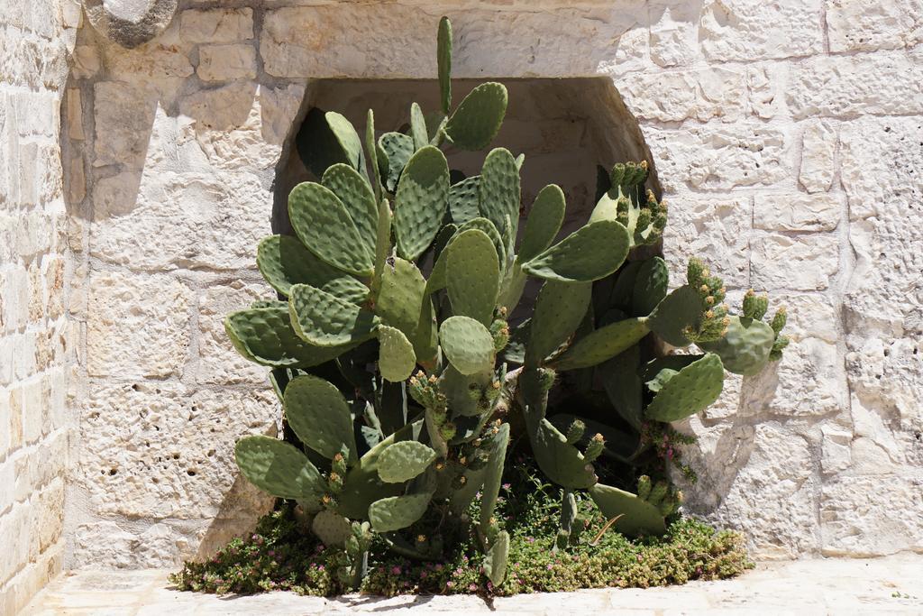 Trulli Holiday Albergo Diffuso Alberobello Eksteriør bilde